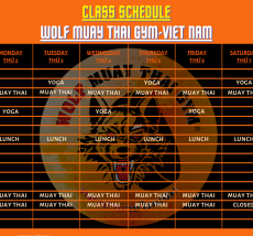 Thời Khóa Biểu & Gói Tập  Schedule & Packages Wolf Muay Thai Gym 