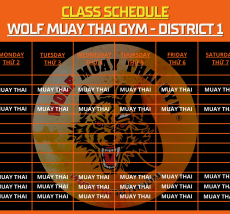 [Quận 1] Thời Khóa Biểu & Gói Tập Wolf Muay Thai Gym 