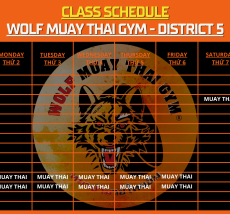 [Quận 5] Thời Khóa Biểu & Gói Tập Wolf Muay Thai Gym 