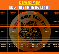 Thời Khóa Biểu & Gói Tập  Schedule & Packages Wolf Muay Thai Gym 