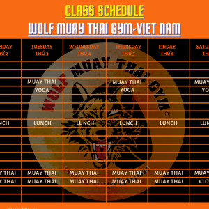 thoi-khoa-bieu-goi-tap-schedule-packages-wolf-muay-thai-gym