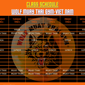 thoi-khoa-bieu-goi-tap-schedule-packages-wolf-muay-thai-gym