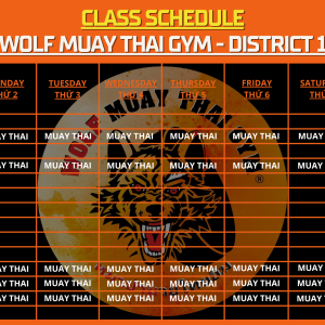 quan-1-thoi-khoa-bieu-goi-tap-wolf-muay-thai-gym