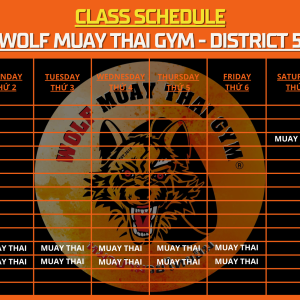 thoi-khoa-bieu-goi-tap-schedule-packages-wolf-muay-thai-gym
