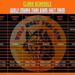 thoi-khoa-bieu-goi-tap-schedule-packages-wolf-muay-thai-gym